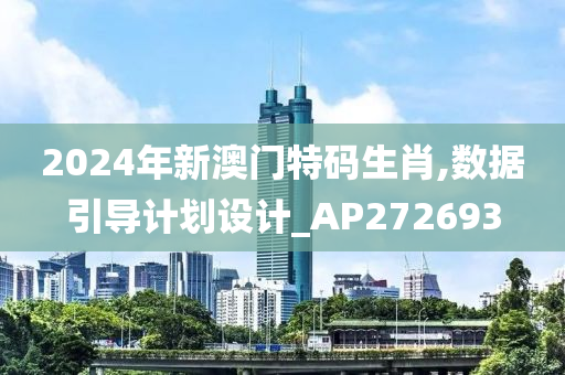 2024年新澳门特码生肖,数据引导计划设计_AP272693