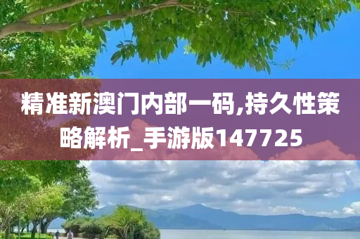 精准新澳门内部一码,持久性策略解析_手游版147725