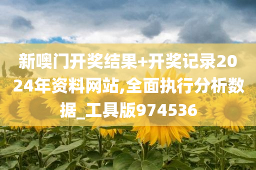 新噢门开奖结果+开奖记录2024年资料网站,全面执行分析数据_工具版974536