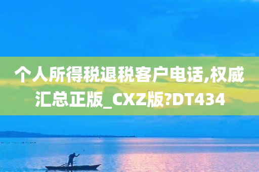 个人所得税退税客户电话,权威汇总正版_CXZ版?DT434