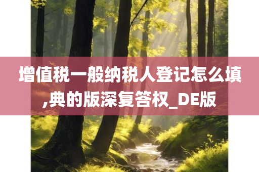 增值税一般纳税人登记怎么填,典的版深复答权_DE版