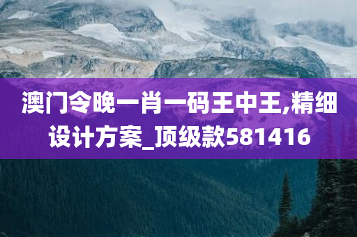 澳门令晚一肖一码王中王,精细设计方案_顶级款581416