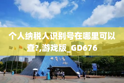 个人纳税人识别号在哪里可以查?,游戏版_GD676