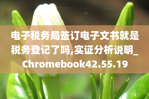 电子税务局签订电子文书就是税务登记了吗,实证分析说明_Chromebook42.55.19