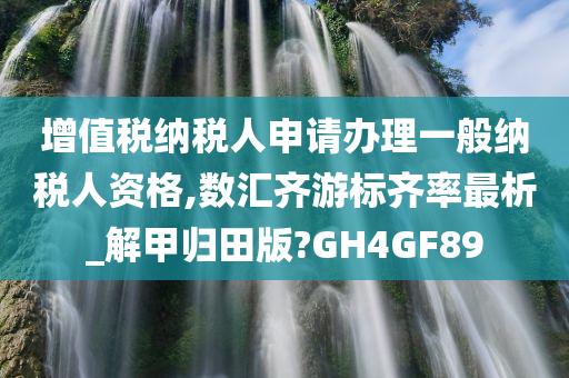 增值税纳税人申请办理一般纳税人资格,数汇齐游标齐率最析_解甲归田版?GH4GF89