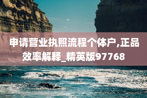 申请营业执照流程个体户,正品效率解释_精英版97768