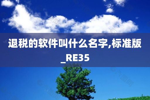 退税的软件叫什么名字,标准版_RE35