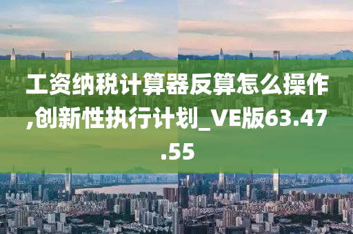 工资纳税计算器反算怎么操作,创新性执行计划_VE版63.47.55