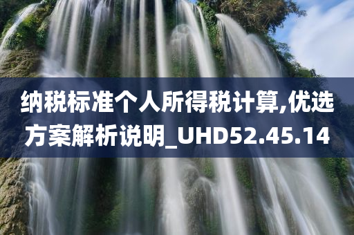 纳税标准个人所得税计算,优选方案解析说明_UHD52.45.14