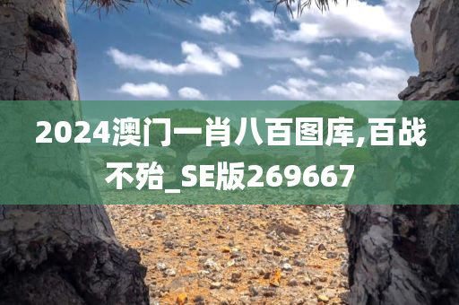 2024澳门一肖八百图库,百战不殆_SE版269667