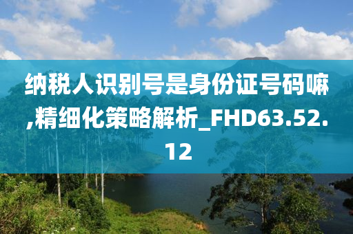 纳税人识别号是身份证号码嘛,精细化策略解析_FHD63.52.12