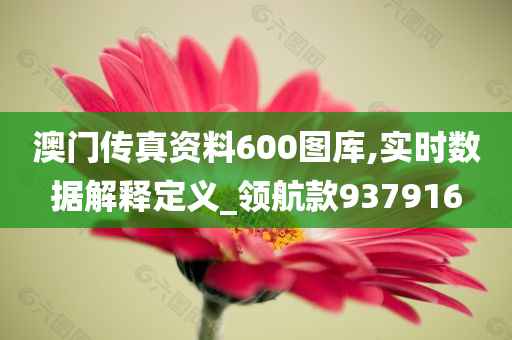 澳门传真资料600图库,实时数据解释定义_领航款937916