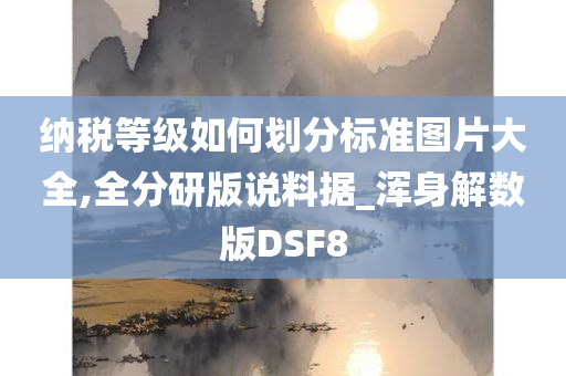 纳税等级如何划分标准图片大全,全分研版说料据_浑身解数版DSF8