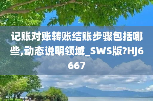 记账对账转账结账步骤包括哪些,动态说明领域_SWS版?HJ6667