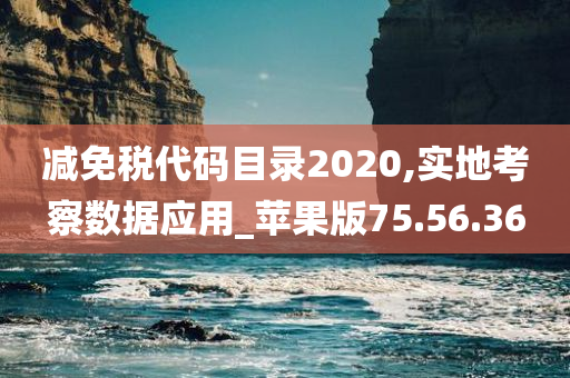 减免税代码目录2020,实地考察数据应用_苹果版75.56.36