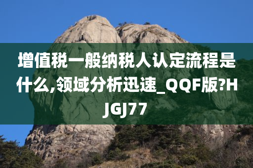 增值税一般纳税人认定流程是什么,领域分析迅速_QQF版?HJGJ77