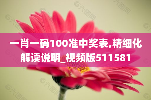 一肖一码100准中奖表,精细化解读说明_视频版511581