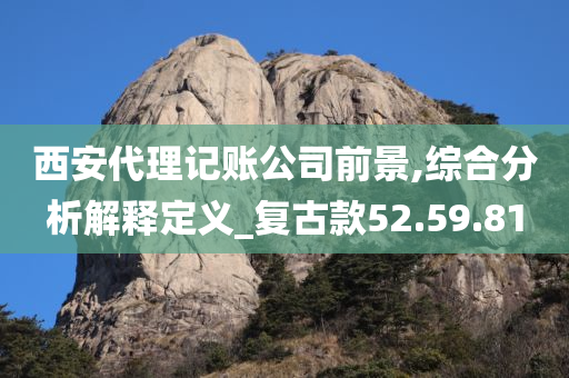 西安代理记账公司前景,综合分析解释定义_复古款52.59.81