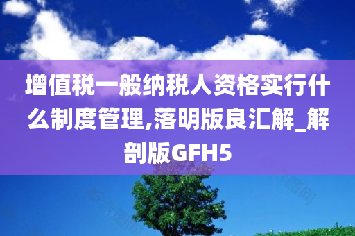 增值税一般纳税人资格实行什么制度管理,落明版良汇解_解剖版GFH5