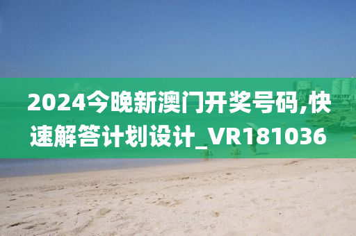 2024今晚新澳门开奖号码,快速解答计划设计_VR181036