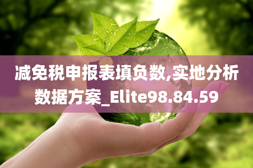 减免税申报表填负数,实地分析数据方案_Elite98.84.59