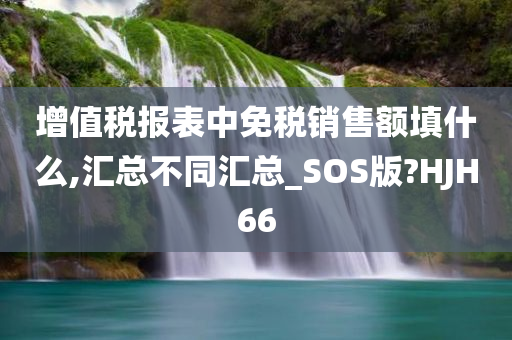 增值税报表中免税销售额填什么,汇总不同汇总_SOS版?HJH66