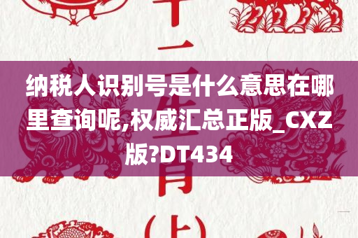 纳税人识别号是什么意思在哪里查询呢,权威汇总正版_CXZ版?DT434