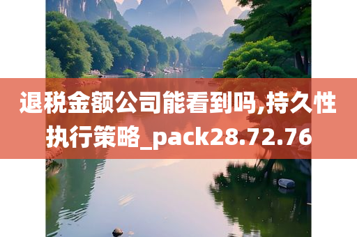 退税金额公司能看到吗,持久性执行策略_pack28.72.76