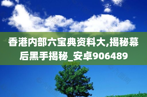 香港内部六宝典资料大,揭秘幕后黑手揭秘_安卓906489