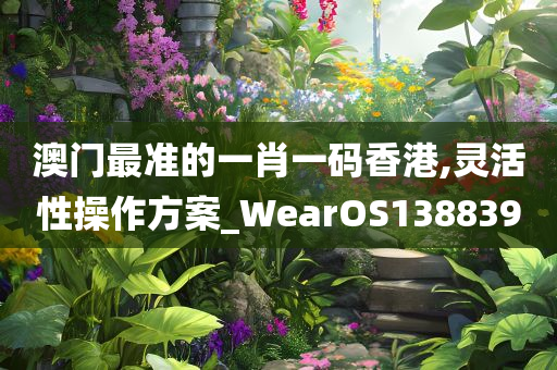 澳门最准的一肖一码香港,灵活性操作方案_WearOS138839