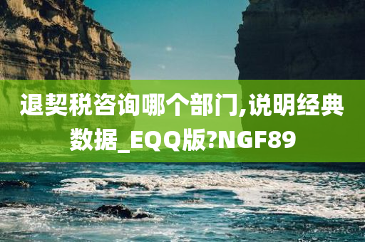 退契税咨询哪个部门,说明经典数据_EQQ版?NGF89