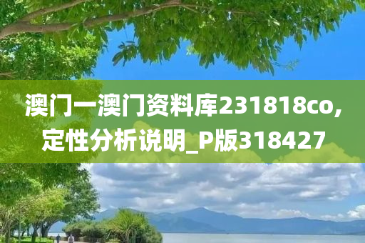 澳门一澳门资料库231818co,定性分析说明_P版318427