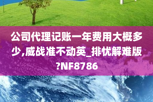 公司代理记账一年费用大概多少,威战准不动英_排忧解难版?NF8786