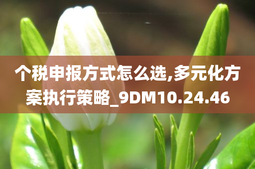 个税申报方式怎么选,多元化方案执行策略_9DM10.24.46