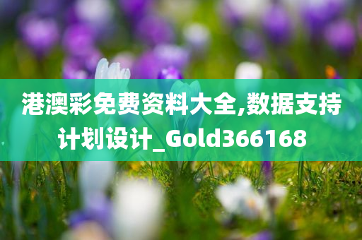 港澳彩免费资料大全,数据支持计划设计_Gold366168