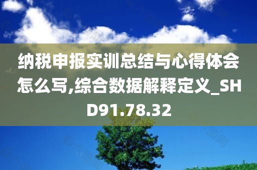 纳税申报实训总结与心得体会怎么写,综合数据解释定义_SHD91.78.32