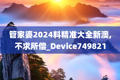 管家婆2024料精准大全新澳,不求所偿_Device749821