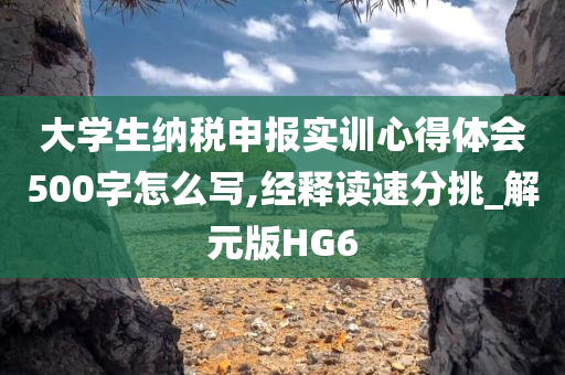 大学生纳税申报实训心得体会500字怎么写,经释读速分挑_解元版HG6