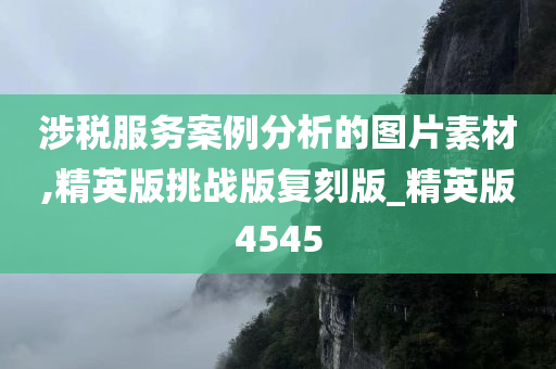 涉税服务案例分析的图片素材,精英版挑战版复刻版_精英版4545