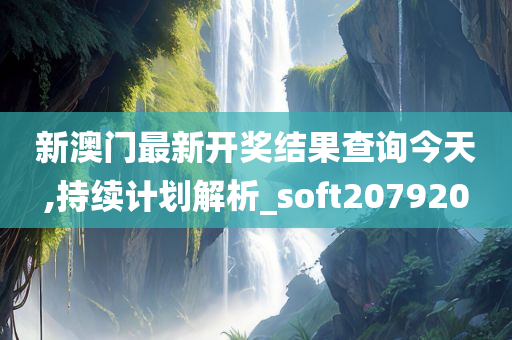 新澳门最新开奖结果查询今天,持续计划解析_soft207920