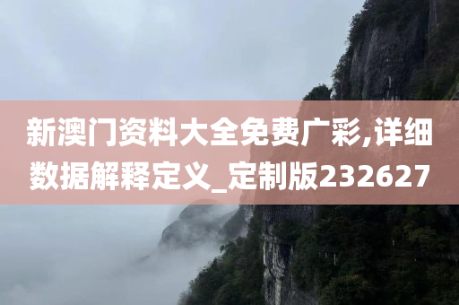 新澳门资料大全免费广彩,详细数据解释定义_定制版232627