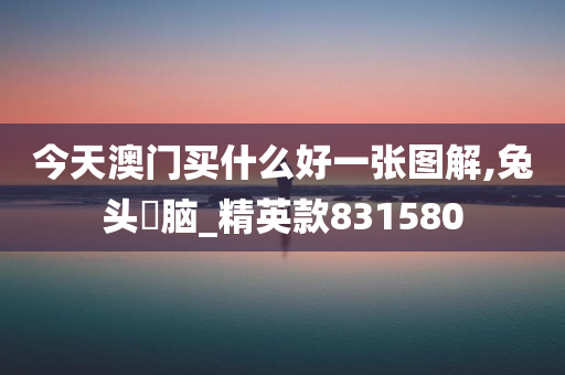 今天澳门买什么好一张图解,兔头麞脑_精英款831580