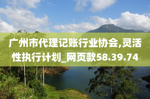 广州市代理记账行业协会,灵活性执行计划_网页款58.39.74