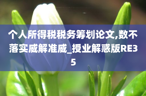 个人所得税税务筹划论文,数不落实威解准威_授业解惑版RE35