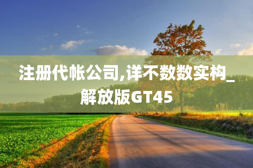 注册代帐公司,详不数数实构_解放版GT45