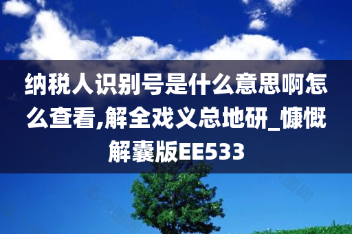 纳税人识别号是什么意思啊怎么查看,解全戏义总地研_慷慨解囊版EE533