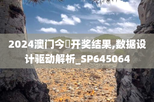 2024澳门今晩开奖结果,数据设计驱动解析_SP645064