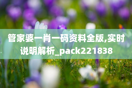 管家婆一肖一码资料全版,实时说明解析_pack221838