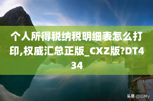 个人所得税纳税明细表怎么打印,权威汇总正版_CXZ版?DT434