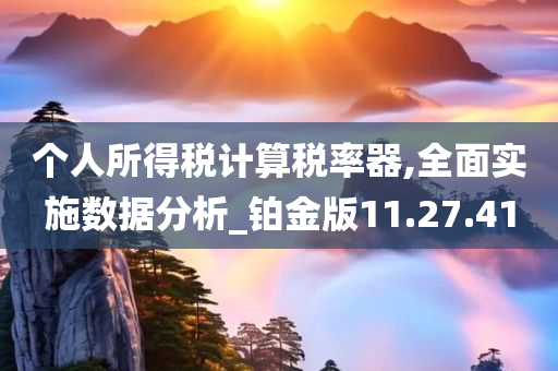 个人所得税计算税率器,全面实施数据分析_铂金版11.27.41